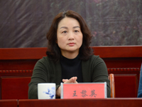 ����Ӣ����W�����l����������