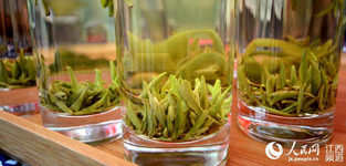 �Wýӛ��Ʒ��ɽ�ЙC�� ��ٝ���ò�Ҳ�����������W����11��23��늣��غ��� �r�꣩���@����һ���ò�����ԓ׌���߳���ɽ��׌������˺�������22������ȫ���W�jý�w�˴����~�Ŀh�С����L�Fһ�Ё������¿h��ɽ�еĶU�ֲ�I���I������F��Ʒ�����ײ����G�����t����ÿһ�ڶ�׌�Wýӛ�ߺ;W�j��Vٝ���^�������ò�Ҳ�������������J�����@ô�õĲ��~��ԓ���߳�����ɽ��׌�������Ʒ�L����Ԕ����