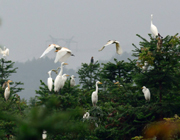 ����ˮ���l������Ϣ��