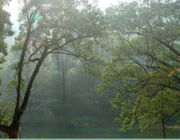 ���o�^��ԭ����