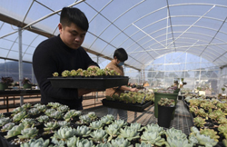 aID                ƽaIDȥʡfί@ʩӰlչƄӮaID