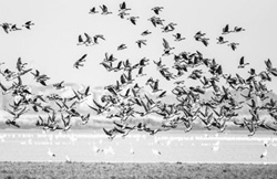 Ї"Ӱ"                ҪЇIϲľ޴׃ԸܵĝMM