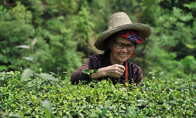 �Ϫq��a�I������ؚ�������Ͳ����L��ϲ�������ш@������䡭�����µ��Ϫq���S̎��Ҋ�Mɽ����ζ�h������������S��������Ժ�P��֧���M�ϵ�ԭ�����K�^���d�lչ��������Ҋ���Č�ʩ���Ϫq�hץס���Ҍ�ʩ��һ݆��ؚ���_�l�C������Ԕ���� 