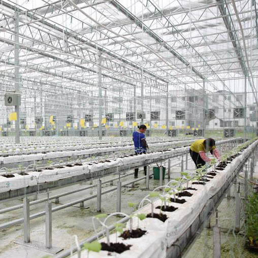 ���߲ˮa�I�@