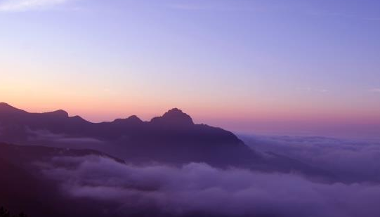 ��������ɽ������Ȼ���o�^ ɭ�ָ��w���_92.7%