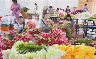 ����ʡȫ�����Óؚ���ԑ�o�� 