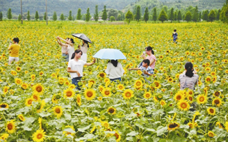 �������M�������B����ԇ�^���O�C��