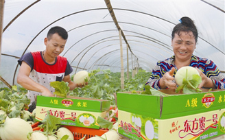 ����ʡȫ�����MÓؚ�������������䌍