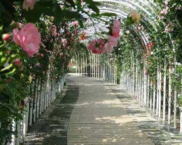 �P��ɽվ�I���¼��@