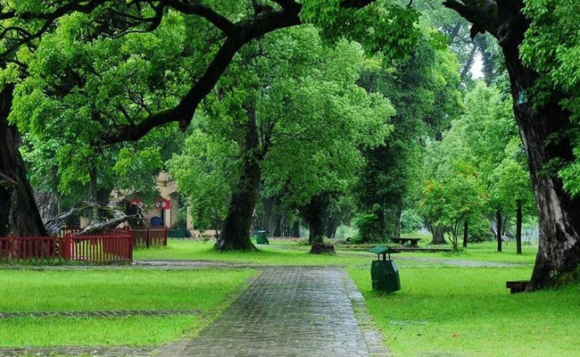 ��𹲺͇��u�@���^