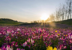 �������g������ ����۶ꖺ��ϻ��t�ݾG