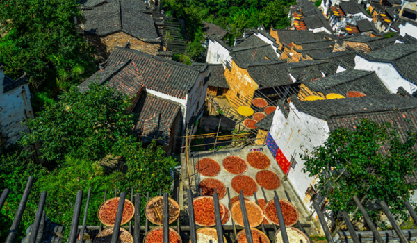 ����X�����������˹�Ӱ��9��3������74������˹�Ӱ�����۽��Ї���������Ӱ���e�k�������u�e��������X����ڡ����������⾰�ء�չʾ�ƽ���Ͼ������ࡾԔ���� 