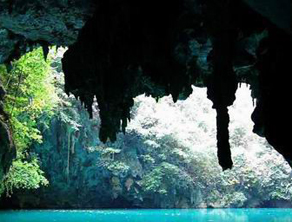 ��������������ܶ�Ⱥ