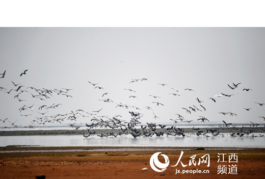     Gɫ BݏʡսκһrڶҕBıoҕG׷  20162ƽӛҕ콭r{GɫBǽؔ󃞄ƷһҪoɽˮ@ɽ¶ˮ߳һllչBˮƽoõ·ЇӰ塱Ԕ˴rI򡰾GD @LGɫaƷB۶ꖺ wBz oɽGˮ ЇI