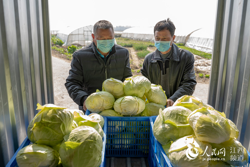 ߲˻ءơ Ͼ񡰲˻@ӡ w/z 