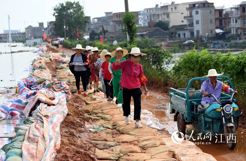 �󋌽o��ʿ���;G������������W �r��/�z��