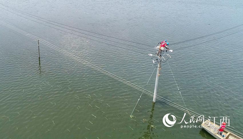 ��늲��T���ړ���������ܞ� �z��