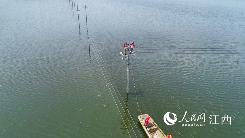 ��늲��T���ړ���������ܞ� �z��