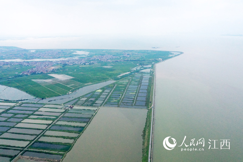 �����R�^���Ӿd������ף�����W �r��/�z��