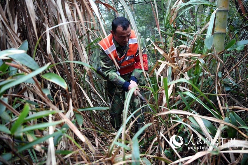 Ѳɽ^ī砵ȥsͻUW r z