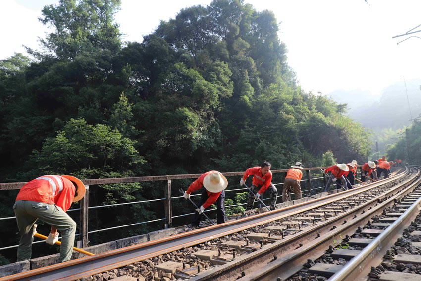 ���R�������܉��������ճТ�� �z��