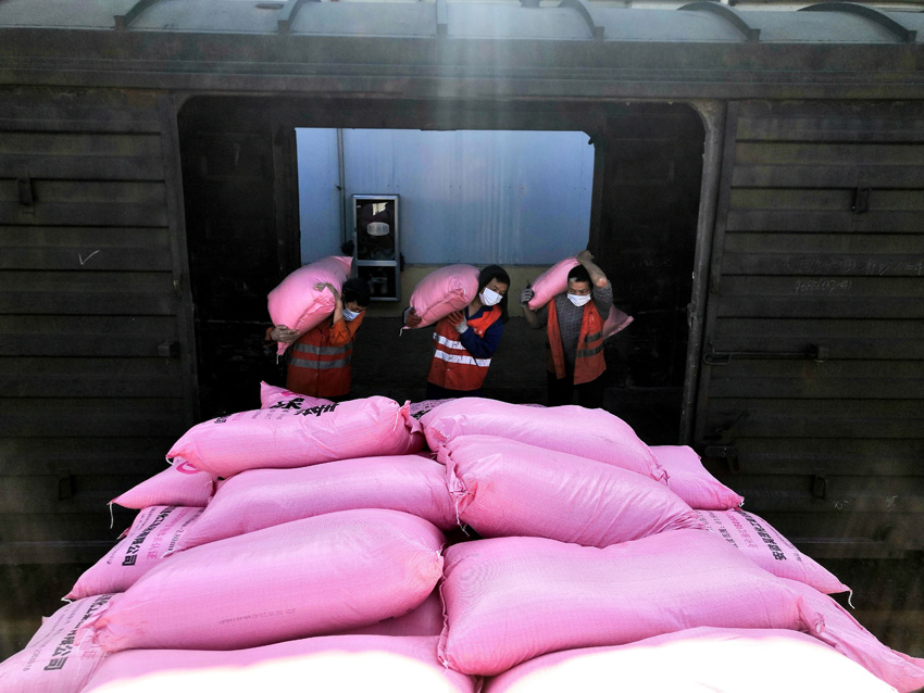 �bж�����ړ�ж��������������������ı� �z��