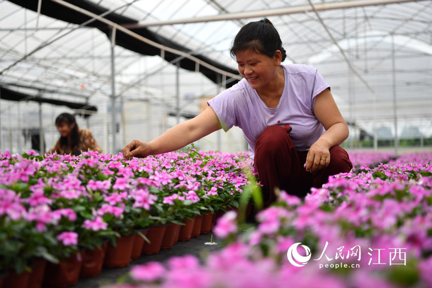 ڻܻؾ͘IĴڳsW rz