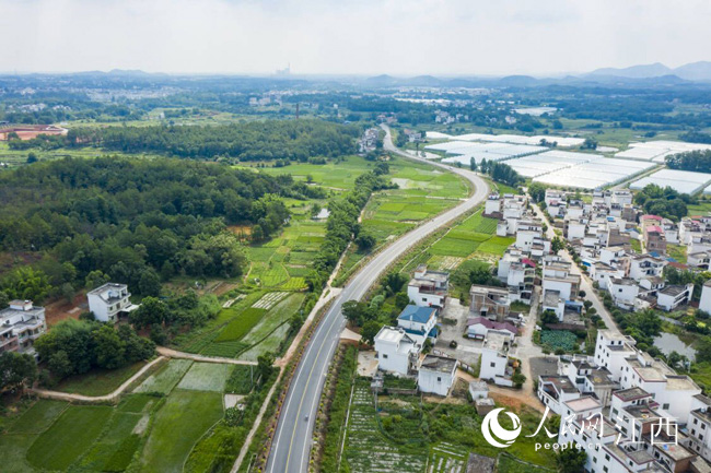 S454 Shƽɶι·Jz