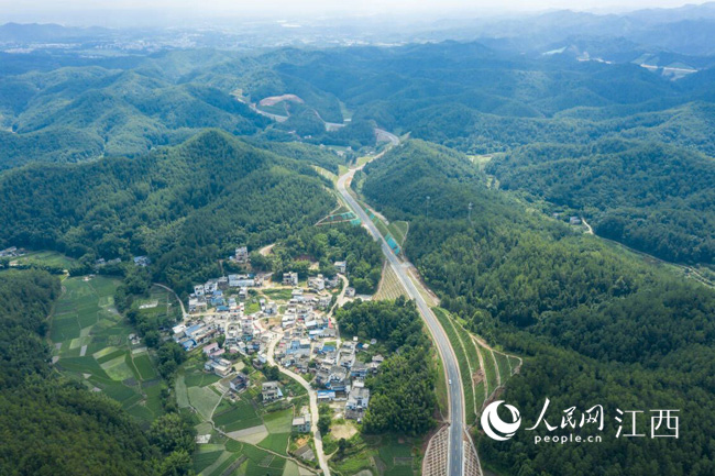 S454 Shƽɶι·Jz