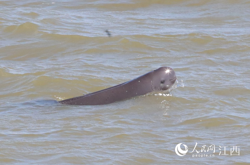 SM֧ϲГP悝OIˮ z