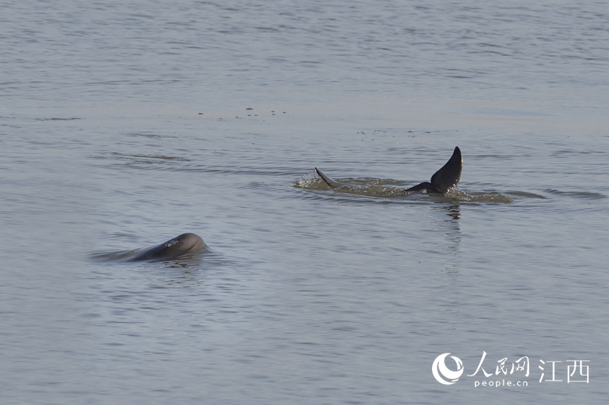 SM֧ϲГP悝OIˮꐽ z