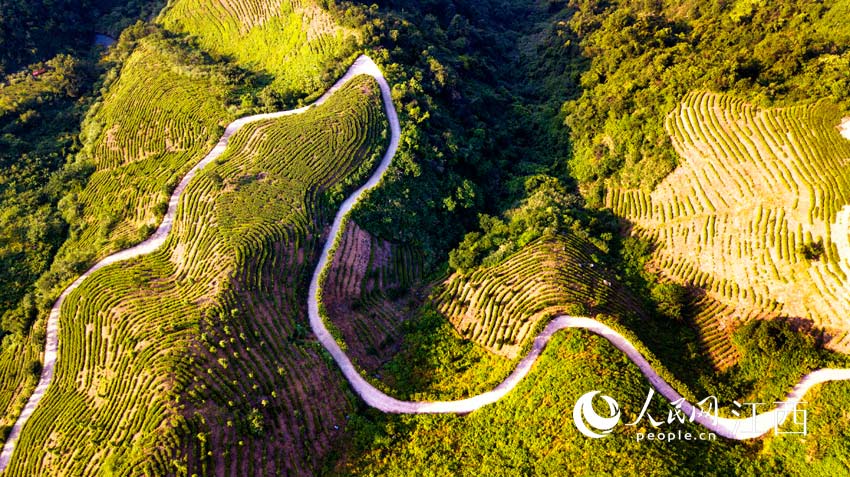 ĺR^ɿh|悲@·ָy Ԭ꿔z