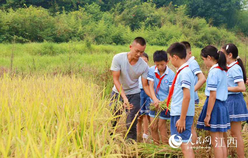 WMgnáʰ֪ࡱӢȫ z