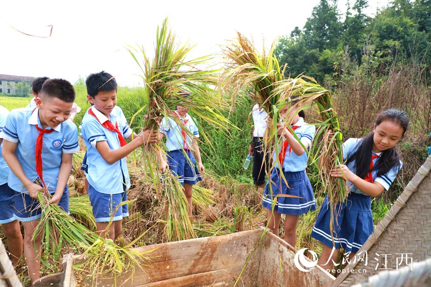 WMgnáʰ֪ࡱӢȫ z