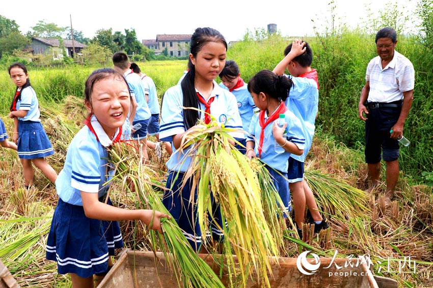 WMgnáʰ֪ࡱӢȫ z