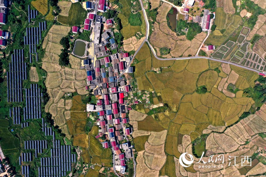 R^c̫ܹ塰xӳW rz