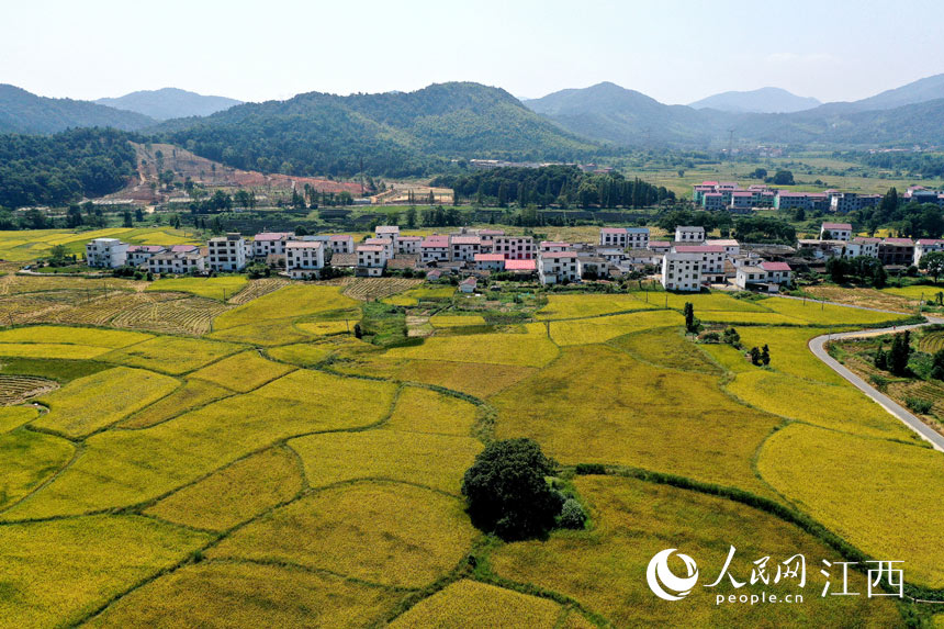 ոĵһƬNNAʾS꾰W rz