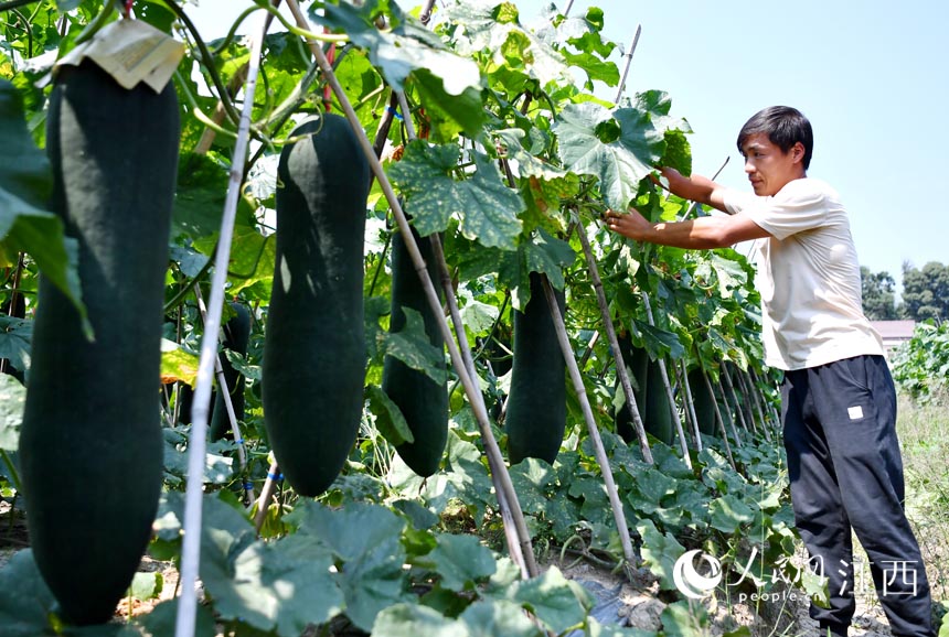 ڶϷNֲMg@Щ߀ʮܲժ W rz