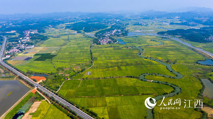 һƬƬｻһɫ@rz