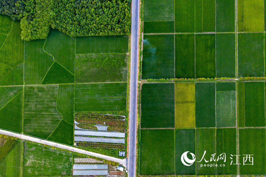 204ʡ̫߮ꖶʾ·T z