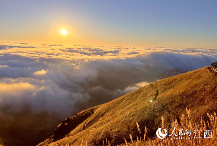 rƼl书ɽƺӿε^ \ z