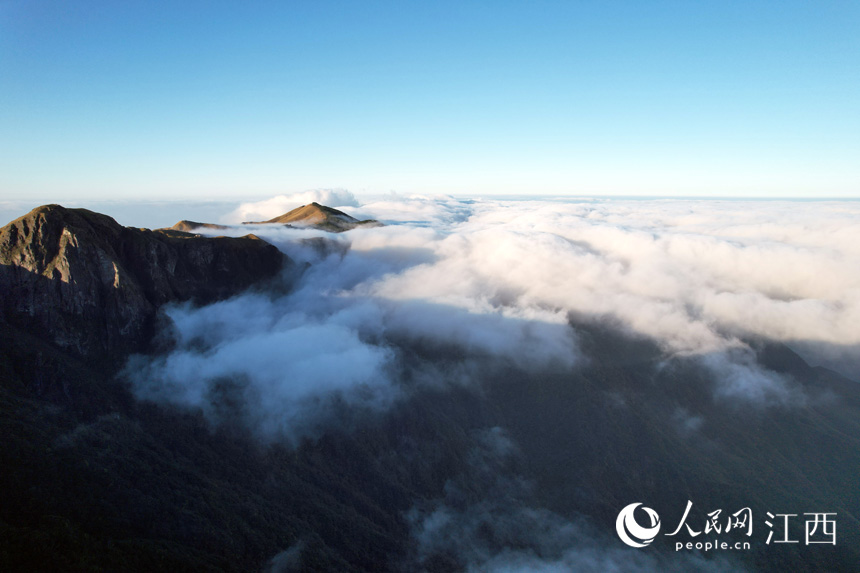 rƼl书ɽƺӿε^ \ z