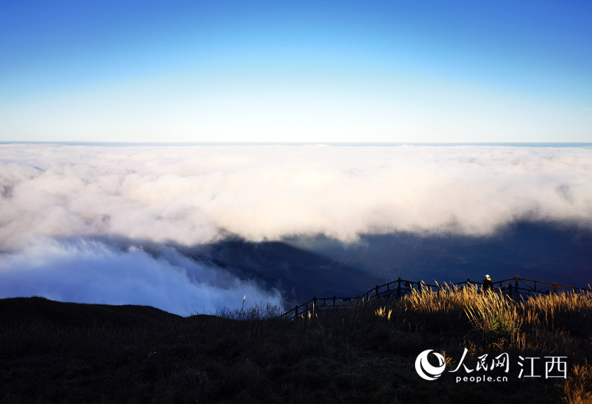 rƼl书ɽƺӿε^ \ z