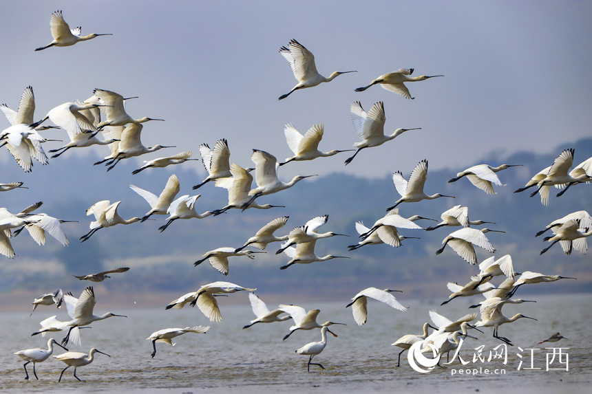 ȺϡԽBw۶ꖺʡŽкڿh  z