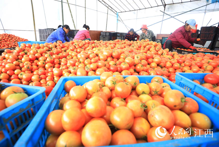 t֒bʂ\lЈ ־ z  