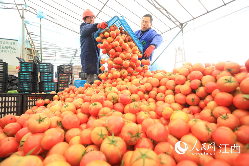 t֒bʂ\lЈ ־ z  