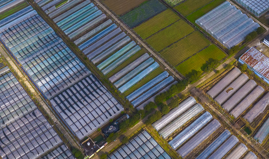 ǧ߲˻cͲ˻fӳȤwz