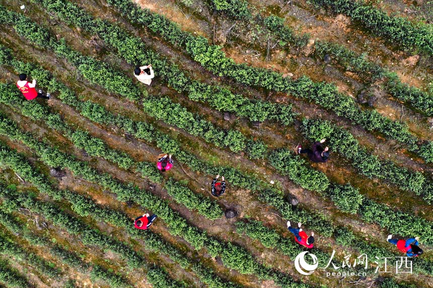 ¿hJϪl־ԸƽSfժǰײ W rz