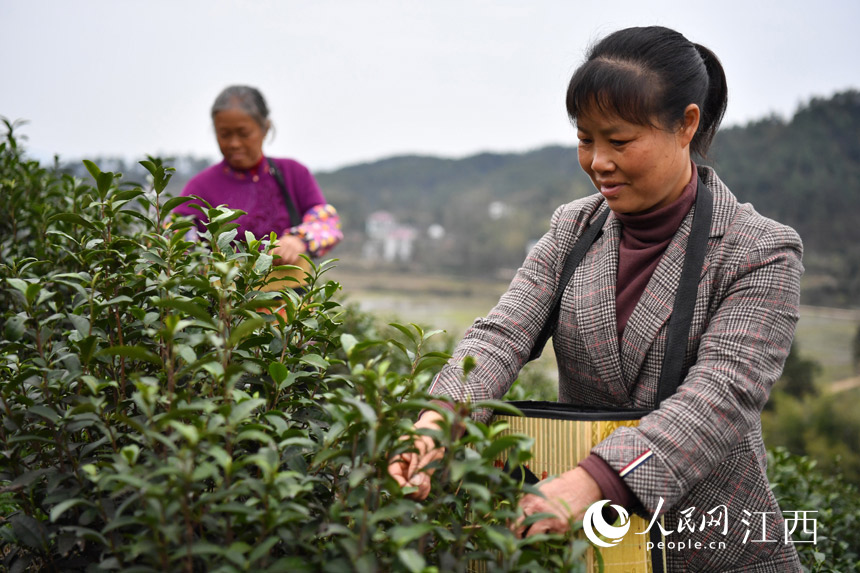 ¿hJϪl־ԸƽSfժǰײ W rz