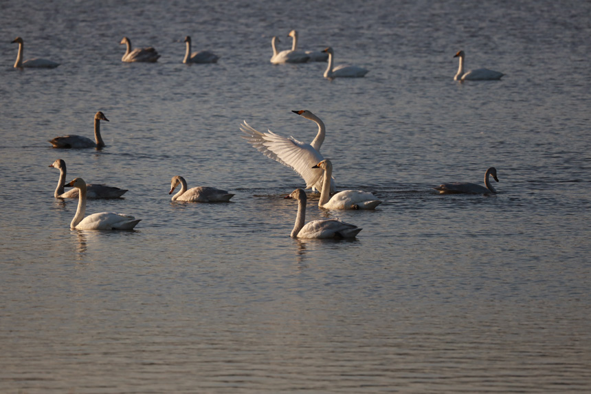 Žɣ^|ȵĺB_ʼw܊ z  